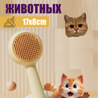 015984fc08f224e5c9644399a957fec8