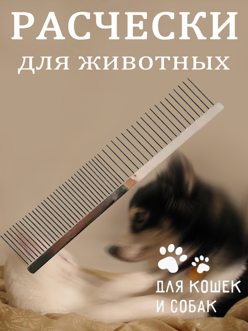 43