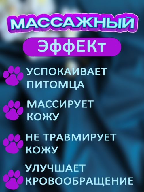 49.3