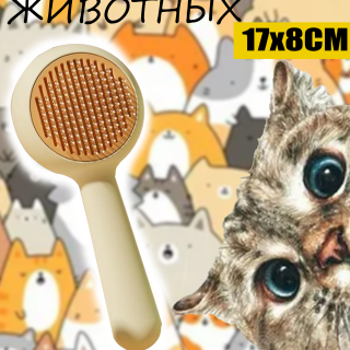 db56d7a06e81c4e3f99ba71b9b06f353