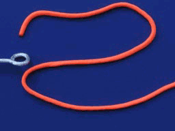 aa0cb1f006992e78a650fad957890f72.gif