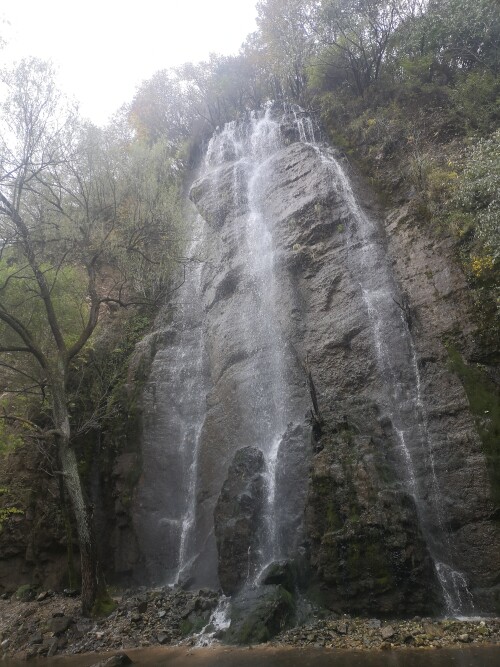 Image 1727966275330