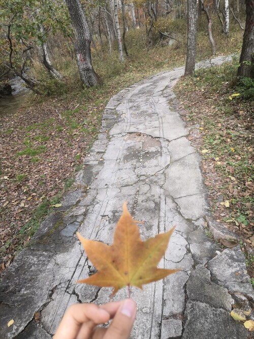Image 1727966253189