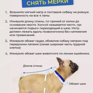 022f66e4afeea45f0493bba0af990930