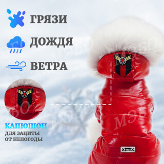 0b5f17a34fc71eec4f6126901741a45a