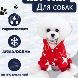57846a9cfe26809d607a7d013a713987