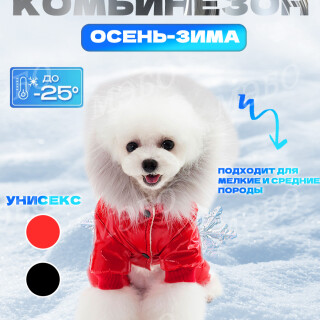 781bc6e79f1b8645a47c8647fcb72944