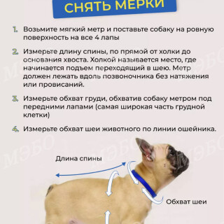 b8cdec9a2a8a13cf9be7266e2456737c