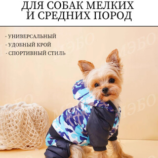 0583fe73c1d55d7b363125225308847d