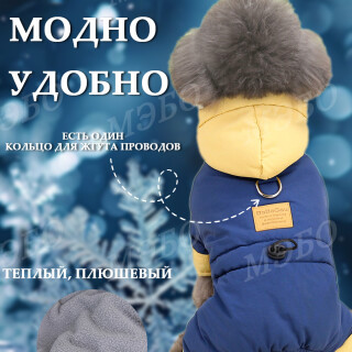 268834e52aeec975abcd326cf7a2c28a