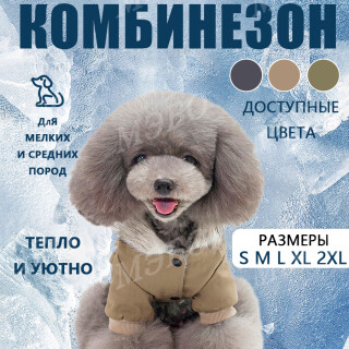 5953780cdcd17f020360b2a5259d9e04