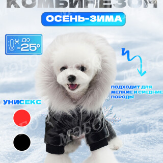 e4339d15b9cacfa4abc29956bf82d127
