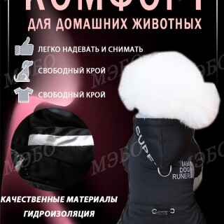 08bff2b68b634e459545c002b8862355