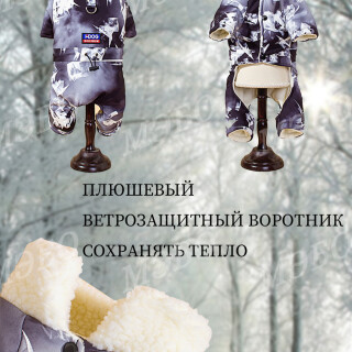 80307902f8748c324022d63e288e156a