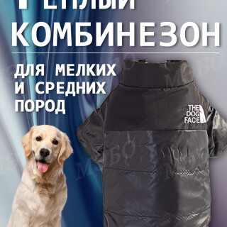 9c322ec28b8efa2b3edf9261e50f7d02