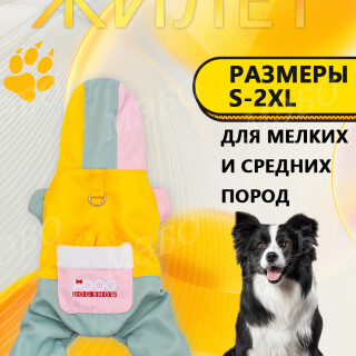 c6a556ecab45e60001ae1e9e318d4bd7