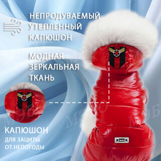 2f756bb5ab4a5756b172f59372714ae4