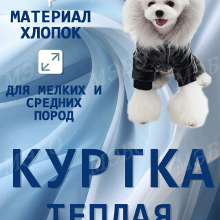 806bb4ac6197f82e41fb503ffb3e42e5