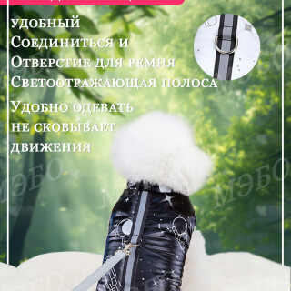8639e5a4ad86c421465fe1989c49724a