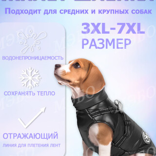 0a2af31bddb74433a6a3d3de85e8ba98