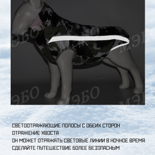5570b007257e43f9a578ce0cfefd71fe