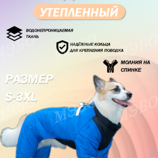 dc4a808ea9041b88ccf7ff5660402106