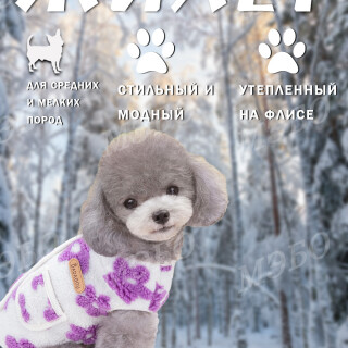 80fb09069aa07a2572c330a7e521ebca