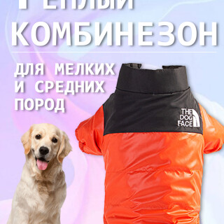 0bbd67b70f35bef4271627e4b6c73109