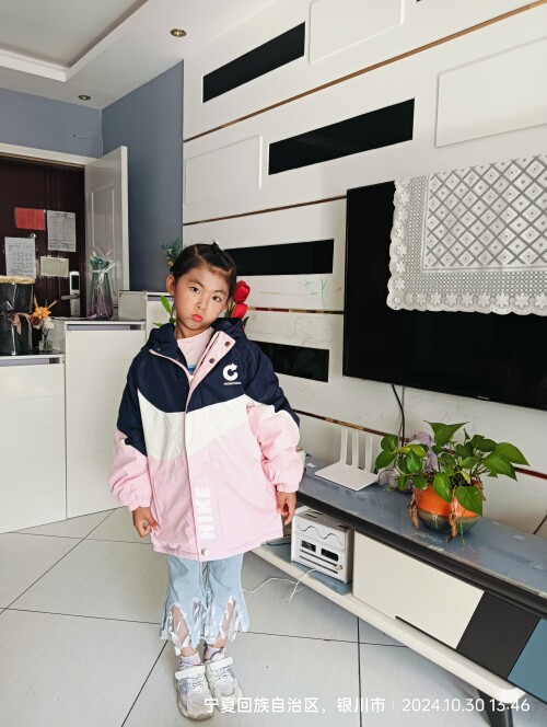 IMG20241030134641