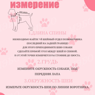2686138ffc2dcd9cd8a516b2b9585925