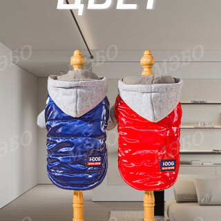 387579aa26e68f1d66616716b80b2019