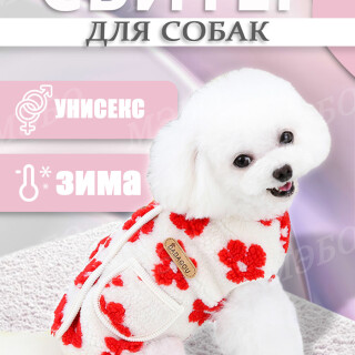 61f798e51b021029f69bf8e971bab0e1