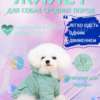 9c91825f23993c9045a980a72356ecad