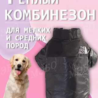 cfc748edd6163fbcb09c8022ff8ca38a