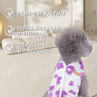 090d61dfab75f8393b29a21c951e7acf