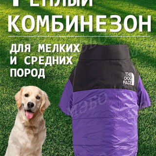 19eb6faec2bd2599b3b3471b3bf907bf