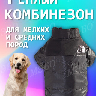 1ae1a1dea6d63592e17ac5ef366905f5
