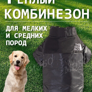 295f0629b5c6d681db41efc92e3558e0