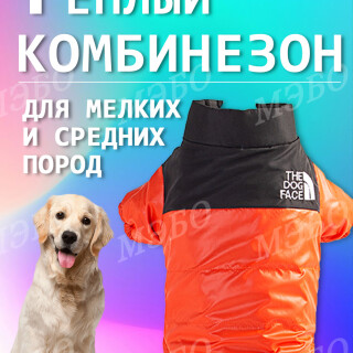 29e39efe9383700c0ca16c12609967d6