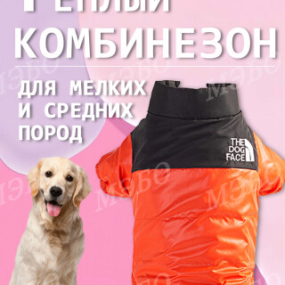 5a57f08c82c121197a7951c898cb34af