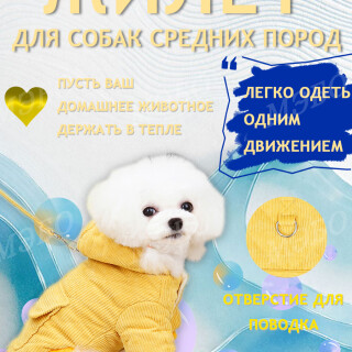 8620bf7907b45a0b463bf9b46f4e4c4e