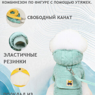 a84eed2c510d214f65ad7d6a4218271c