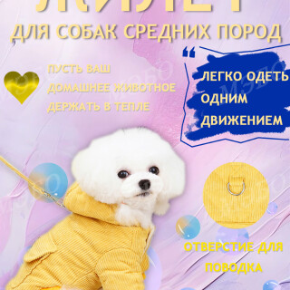 c4977b41c17afcef77f593266aa5cccd