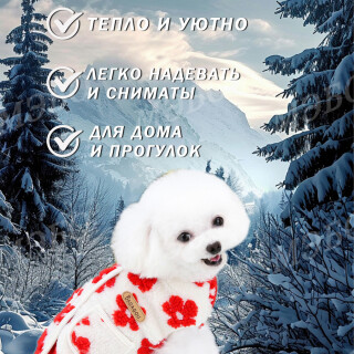 ed5c1b844418f1dcb0121f2d1ee25ead