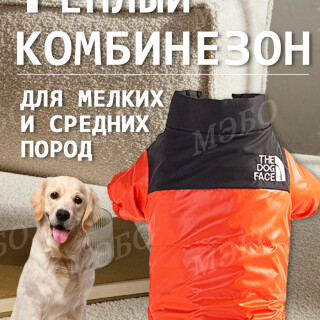 f619b214c558eb1b606648dc41ebfdd0