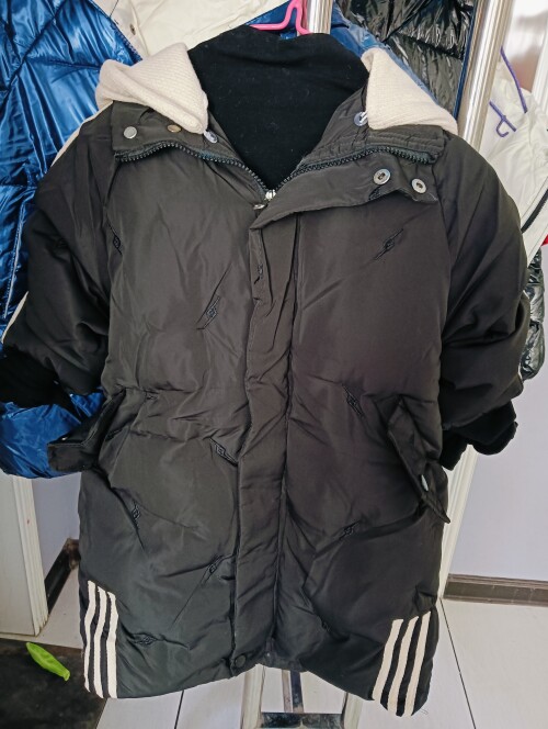 IMG20241104111453