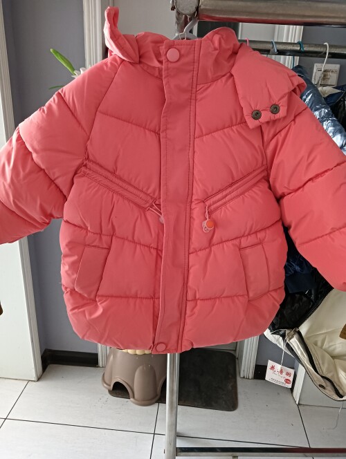 IMG20241104155554
