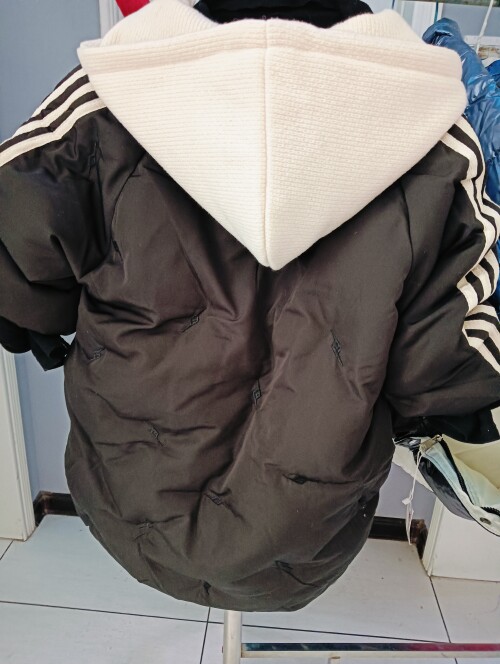 IMG20241104111536