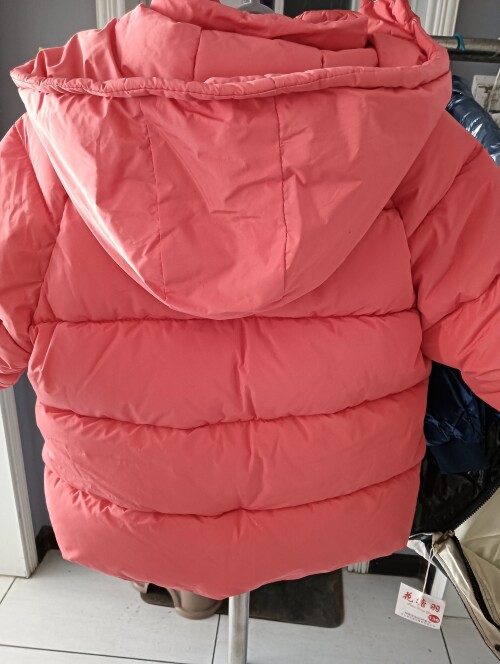 IMG20241104155607