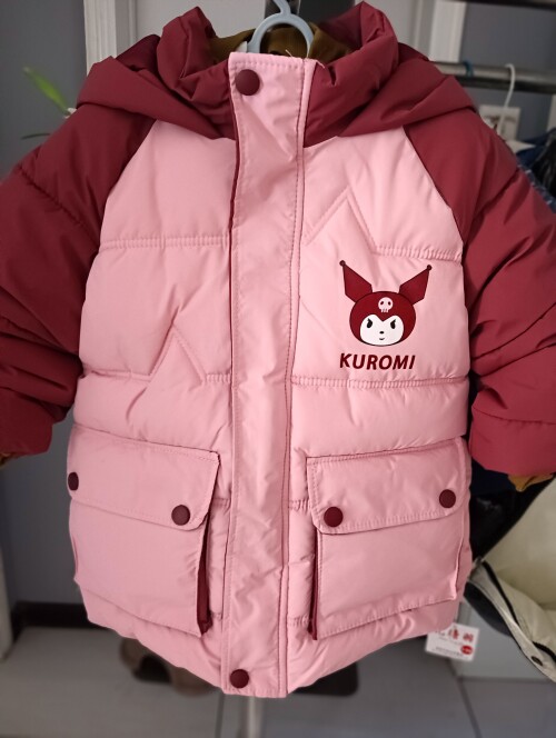 IMG20241104153555